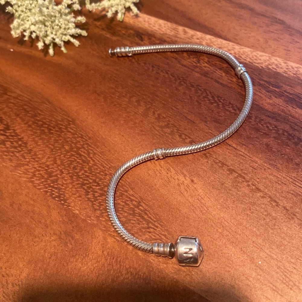 ✨Pandora✨Moments Sterling Silver Snake Chain Bracelet with Charms and Clips - Picture 11 of 15